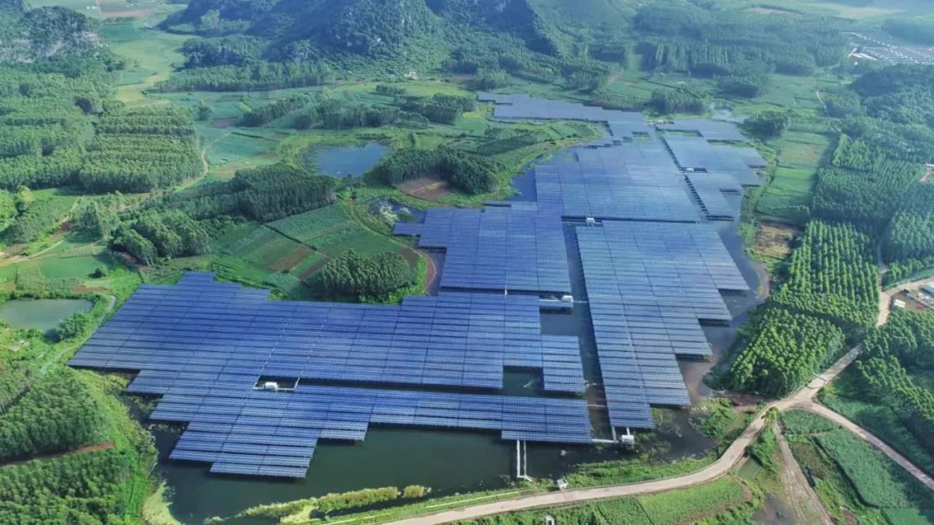 祝賀綠為網(wǎng)站建設(shè)成功！